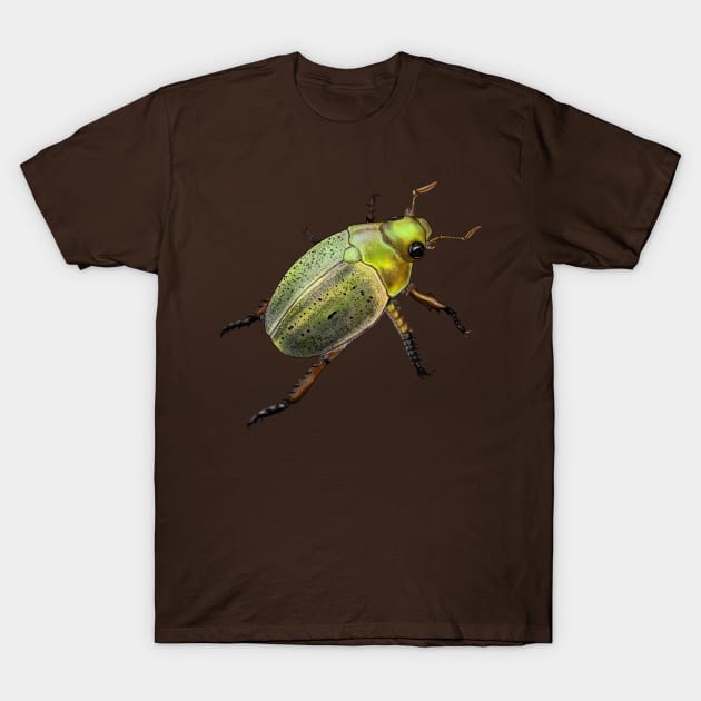 Iridescent green and gold beetle T-Shirt by ElementalEmbers